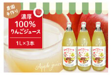 100％りんごジュース 1L 3本セット 山形県 東根市 hi037-006