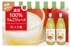 100％りんごジュース 1L 2本セット 山形県 東根市 hi037-005