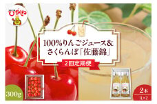 【2回定期便】100％りんごジュース＆2025年産さくらんぼ「佐藤錦」山形県 東根市 hi037-002-1