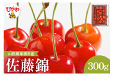 2025年産 さくらんぼ「佐藤錦」秀品 300gバラ詰め Lサイズ以上 山形県 東根市 hi037-003-1