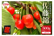 2025年産 さくらんぼ「佐藤錦」秀品 500gバラ詰め（500g×1パック） Lサイズ 山形県 東根市 hi088-002-1