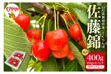 2025年産 さくらんぼ「佐藤錦」秀品 400gバラ詰め（200g×2パック） Mサイズ以上 山形県 東根市 hi088-001-1