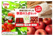 【3回定期便】果樹王国ひがしね季節の3点セット さくらんぼ つや姫 ふじりんご 山形県 東根市 hi089-001-1