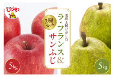2025年産 ラ・フランス＆サンふじ各5kgセットでお届け 山形県 東根市 hi026-045-1