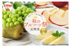 2025年産 秋のフルーツ祭定期便！全3回(2025.10月スタート) 山形県 東根市 hi026-043-1