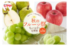 2025年産 秋のフルーツ祭 ちょっとずつ定期便！全3回(2025.10月スタート) 山形県 東根市 hi026-042-1