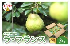 2025年産 ラ・フランス3kg（6-13玉） 秀品 山形県 東根市 hi082-021-1