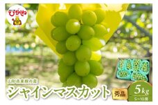 2025年産 シャインマスカット 5kg（5-10房） 秀品 山形県 東根市　hi082-026-1