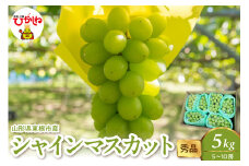 2025年産 シャインマスカット 5kg（5-10房） 秀品 山形県 東根市　hi082-026-1