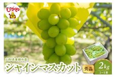 2025年産 シャインマスカット 2kg（2-5房） 秀品 山形県 東根市　hi082-025-1