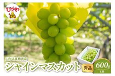 2025年産 シャインマスカット 600g(1房） 秀品 山形県 東根市　hi082-023-1