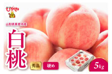 2025年産 白桃（硬め） 5kg 秀品 山形県 東根市 hi082-014-1