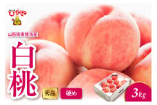 2025年産 白桃（硬め） 3kg 秀品 山形県 東根市 hi082-013-1