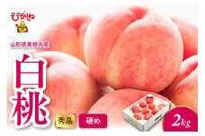 2025年産 白桃（硬め） 2kg 秀品 山形県 東根市 hi082-012-1