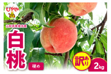 2025年産 【訳あり】白桃（硬め） 2kg 山形県 東根市 hi082-010-1