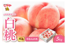 2025年産 白桃（柔らかめ） 5kg 秀品 山形県 東根市 hi082-008-1