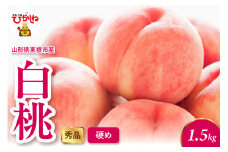 2025年産 白桃（硬め） 1.5kg 秀品 山形県 東根市 hi082-011-1