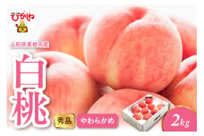 2025年産 白桃（柔らかめ） 2kg 秀品 山形県 東根市 hi082-006-1