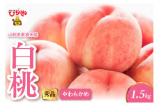 2025年産 白桃（柔らかめ） 1.5kg 秀品 山形県 東根市 hi082-005-1