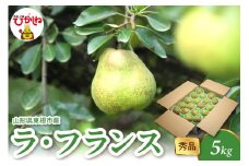2025年産 ラ・フランス5kg（10-22玉） 秀品 山形県 東根市 hi082-022-1