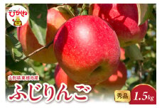 2025年産 ふじりんご 1.5kg（3-7玉） 秀品 山形県 東根市 hi082-015-1