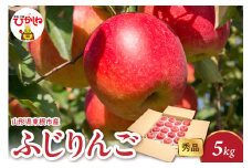 2025年産 ふじりんご 5kg（10-22玉） 秀品 山形県 東根市 hi082-018-1