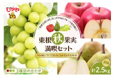 【東根秋果実満喫セット】サンふじ＆ラフ＆シャイン約2.5kg 山形県 東根市 東根農産センター提供 hi027-202-1