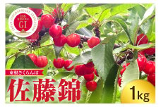 【2025年産】GI「東根さくらんぼ」佐藤錦 1kg（500gバラ詰め×2パック） Lサイズ 山形県 東根市 hi074-012-1