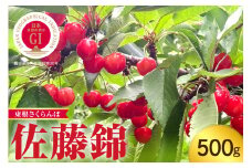 【2025年産】GI「東根さくらんぼ」佐藤錦 500gバラ詰め Lサイズ 山形県 東根市 hi074-011-1