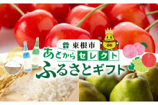 山形県東根市 あとからセレクト【ふるさとギフト】寄附1,000円相当　hi9999-001