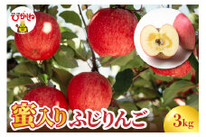 蜜入りふじりんご3kg　広果園提供　hi098-001