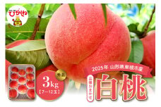 2025年産 白桃(品種おまかせ) 3kg みのる果樹園提供 山形県 東根市 hi063-003-1