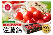 【2026年産 先行予約】GI 「東根さくらんぼ」佐藤錦 900g バラ詰め JA園芸部提供  山形県 東根市　hi001-039
