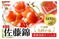 2026年 東根産さくらんぼ「佐藤錦」600gバラ詰め 秀品 Mサイズ 東根農産センター提供 山形県 東根市 hi027-219