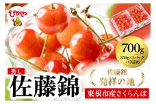 2026年 東根産さくらんぼ「佐藤錦」700gバラ詰め(350g×2ﾊﾟｯｸ) 秀品 Lサイズ 東根農産センター提供 山形県 東根市 hi027-218
