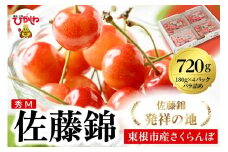 2026年 東根産さくらんぼ「佐藤錦」720g (180g×4ﾊﾟｯｸ) 秀品 Mサイズ 東根農産センター提供 山形県 東根市 hi027-216
