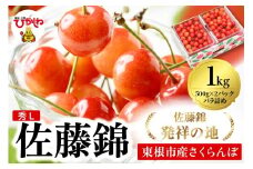 2026年 東根産さくらんぼ「佐藤錦」1kgバラ詰め(500g×2ﾊﾟｯｸ) 秀品 Lサイズ 東根農産センター提供 山形県 東根市 hi027-215