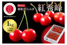 2026年 GI東根さくらんぼ「紅秀峰」1kgバラ詰め(500g×2ﾊﾟｯｸ) 秀品 Lサイズ 東根農産センター提供 山形県 東根市 hi027-223