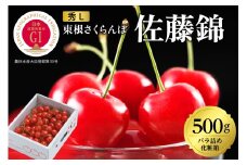 2026年 GI東根さくらんぼ「佐藤錦」500gバラ詰め 秀品 Lサイズ 東根農産センター提供 山形県 東根市 hi027-220