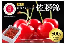 2026年 GI東根さくらんぼ「佐藤錦」500gバラ詰め 秀品 Lサイズ 東根農産センター提供 山形県 東根市 hi027-220