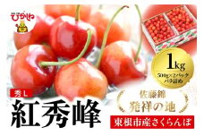 2026年 東根産さくらんぼ「紅秀峰」1kgバラ詰め(500g×2ﾊﾟｯｸ) 秀品 Lサイズ 東根農産センター提供 山形県 東根市 hi027-224