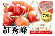 2026年 東根産さくらんぼ「紅秀峰」720g (180g×4ﾊﾟｯｸ) 秀品 Lサイズ 東根農産センター提供 山形県 東根市 hi027-225