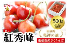 2026年 東根産さくらんぼ「紅秀峰」500gバラ詰め 秀品 Lサイズ 東根農産センター提供 山形県 東根市 hi027-229