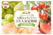 【全3回定期便】2025年大粒シャインからの３大人気定期便 千笑花夢提供 山形県 東根市 hi082-031