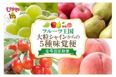 【全4回定期便】2025年大粒シャインからの5種味覚便 千笑花夢提供 山形県 東根市 hi082-032