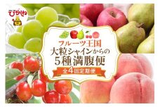 【全4回定期便】2025年大粒シャインからの5種満腹便 千笑花夢提供 山形県 東根市 hi082-033