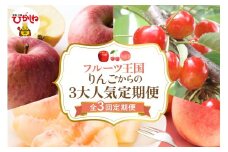 【全3回定期便】2025年りんごからの３大人気定期便 千笑花夢提供 山形県 東根市 hi082-036