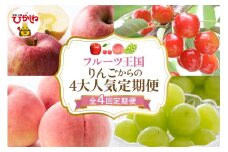 【全4回定期便】2025年りんごからの4大人気定期便 千笑花夢提供 山形県 東根市 hi082-037