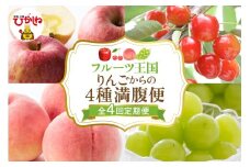 【全4回定期便】2025年りんごからの4種満腹便 千笑花夢提供 山形県 東根市 hi082-038