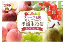 【全5回定期便】2025年りんごからの季節主役便 千笑花夢提供 山形県 東根市 hi082-039